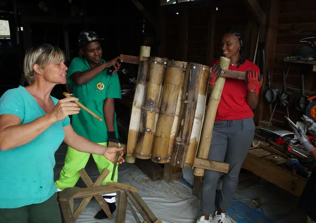 adequa-formation-manipulation-recolte-bambou-martinique15.jpg