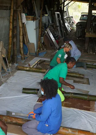 adequa-formation-manipulation-recolte-bambou-martinique12.jpg